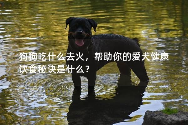 狗狗吃什么去火，帮助你的爱犬健康饮食秘诀是什么？