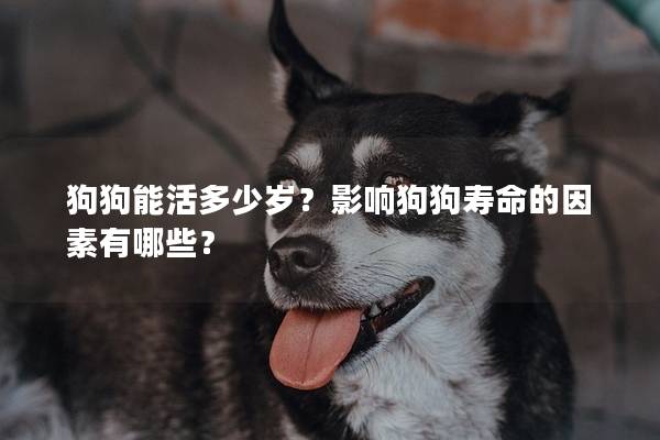 狗狗能活多少岁？影响狗狗寿命的因素有哪些？