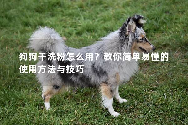 狗狗干洗粉怎么用？教你简单易懂的使用方法与技巧