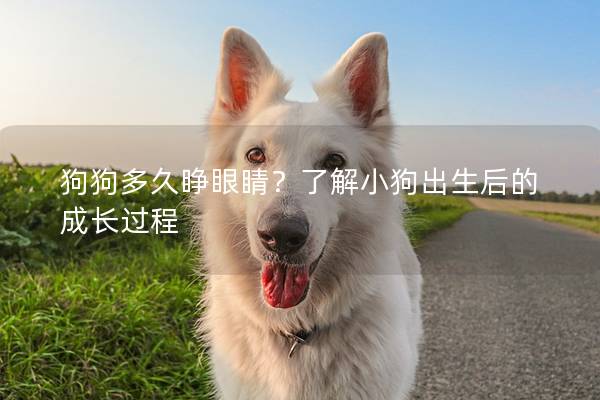 狗狗多久睁眼睛？了解小狗出生后的成长过程