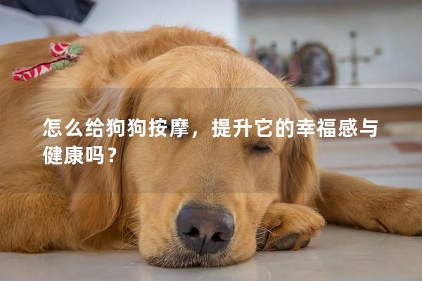 怎么给狗狗按摩，提升它的幸福感与健康吗？