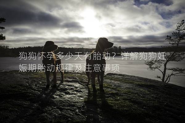 狗狗怀孕多少天有胎动？详解狗狗妊娠期胎动规律及注意事项