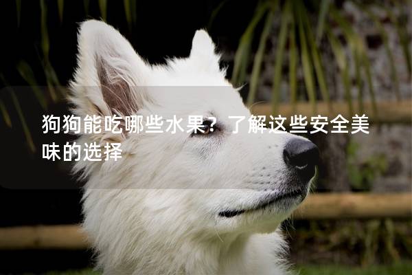 狗狗能吃哪些水果？了解这些安全美味的选择