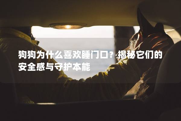 狗狗为什么喜欢睡门口？揭秘它们的安全感与守护本能