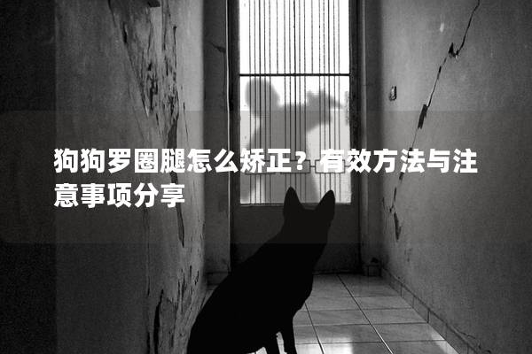 狗狗罗圈腿怎么矫正？有效方法与注意事项分享