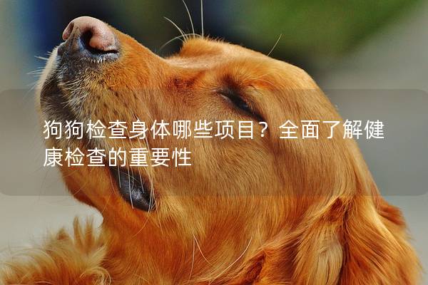 狗狗检查身体哪些项目？全面了解健康检查的重要性