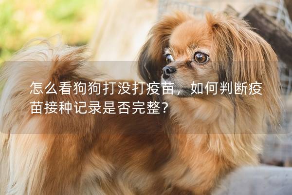 怎么看狗狗打没打疫苗，如何判断疫苗接种记录是否完整？