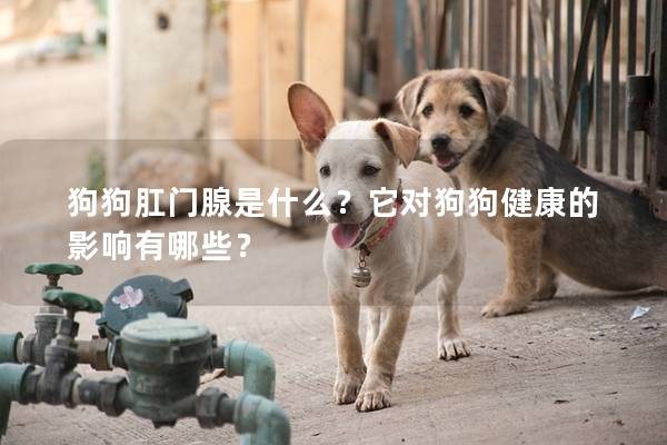 狗狗肛门腺是什么？它对狗狗健康的影响有哪些？