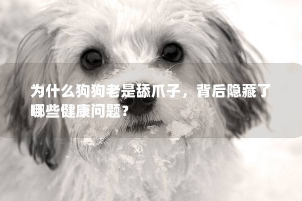 为什么狗狗老是舔爪子，背后隐藏了哪些健康问题？