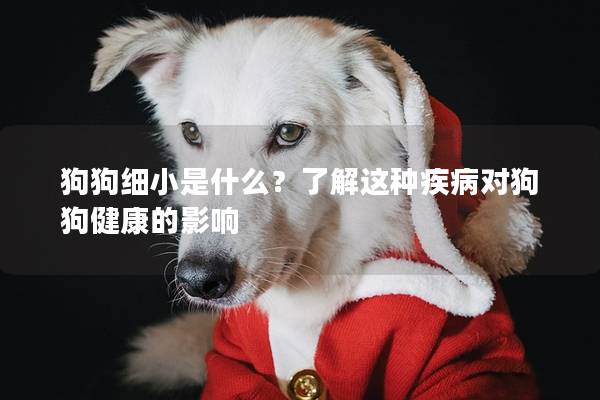 狗狗细小是什么？了解这种疾病对狗狗健康的影响