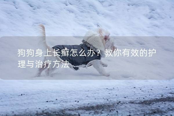 狗狗身上长癣怎么办？教你有效的护理与治疗方法