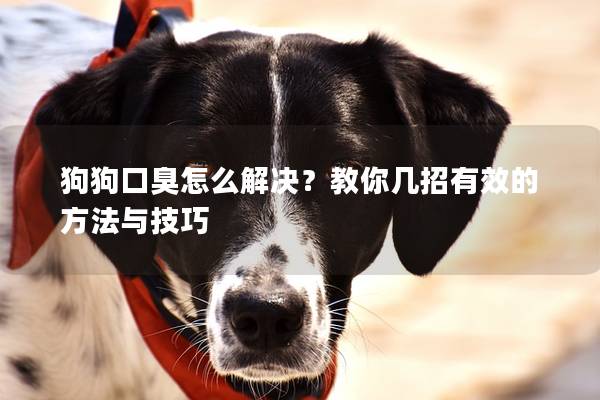 狗狗口臭怎么解决？教你几招有效的方法与技巧