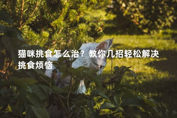 猫咪挑食怎么治？教你几招轻松解决挑食烦恼