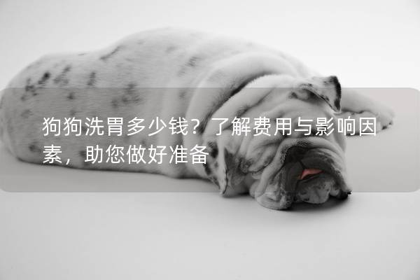 狗狗洗胃多少钱？了解费用与影响因素，助您做好准备