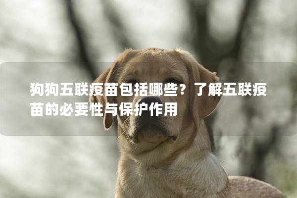 狗狗五联疫苗包括哪些？了解五联疫苗的必要性与保护作用
