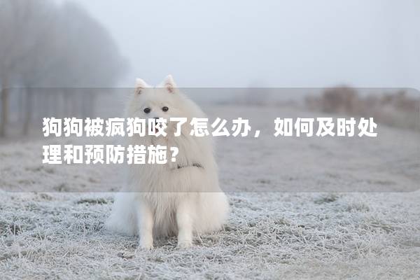 狗狗被疯狗咬了怎么办，如何及时处理和预防措施？