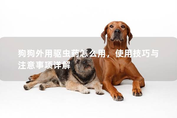 狗狗外用驱虫药怎么用，使用技巧与注意事项详解