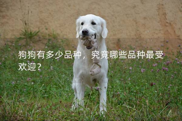 狗狗有多少品种，究竟哪些品种最受欢迎？