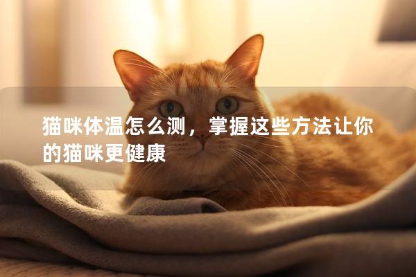 猫咪体温怎么测，掌握这些方法让你的猫咪更健康