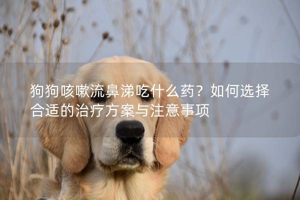 狗狗咳嗽流鼻涕吃什么药？如何选择合适的治疗方案与注意事项