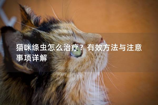 猫咪绦虫怎么治疗？有效方法与注意事项详解