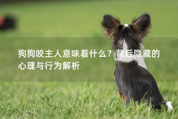 狗狗咬主人意味着什么？背后隐藏的心理与行为解析