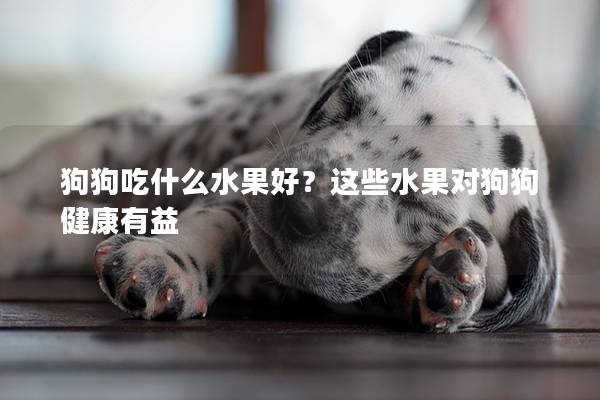 狗狗吃什么水果好？这些水果对狗狗健康有益