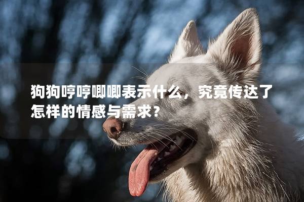 狗狗哼哼唧唧表示什么，究竟传达了怎样的情感与需求？