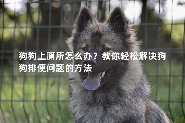 狗狗上厕所怎么办？教你轻松解决狗狗排便问题的方法