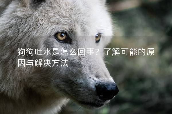 狗狗吐水是怎么回事？了解可能的原因与解决方法