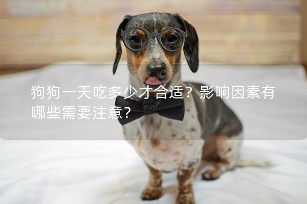 狗狗一天吃多少才合适？影响因素有哪些需要注意？