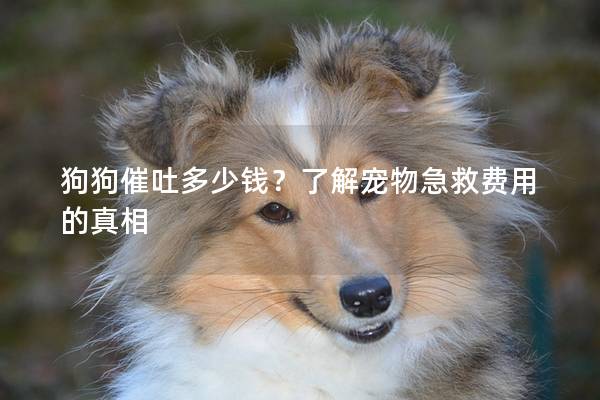 狗狗催吐多少钱？了解宠物急救费用的真相