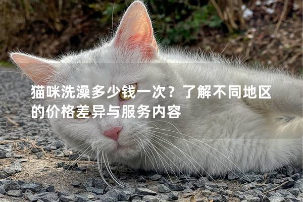 猫咪洗澡多少钱一次？了解不同地区的价格差异与服务内容