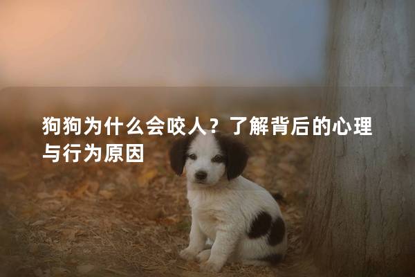 狗狗为什么会咬人？了解背后的心理与行为原因