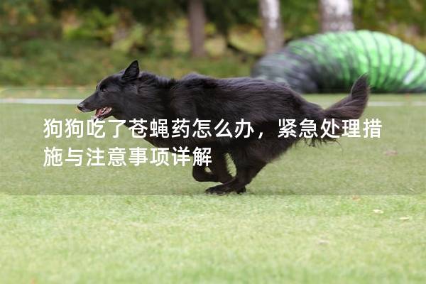 狗狗吃了苍蝇药怎么办，紧急处理措施与注意事项详解