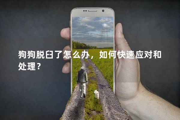 狗狗脱臼了怎么办，如何快速应对和处理？
