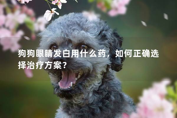 狗狗眼睛发白用什么药，如何正确选择治疗方案？