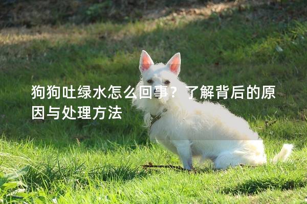 狗狗吐绿水怎么回事？了解背后的原因与处理方法