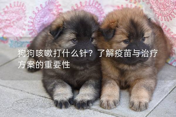 狗狗咳嗽打什么针？了解疫苗与治疗方案的重要性