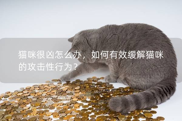 猫咪很凶怎么办，如何有效缓解猫咪的攻击性行为？
