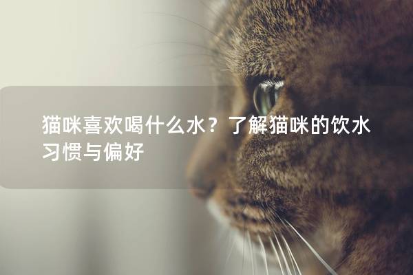 猫咪喜欢喝什么水？了解猫咪的饮水习惯与偏好