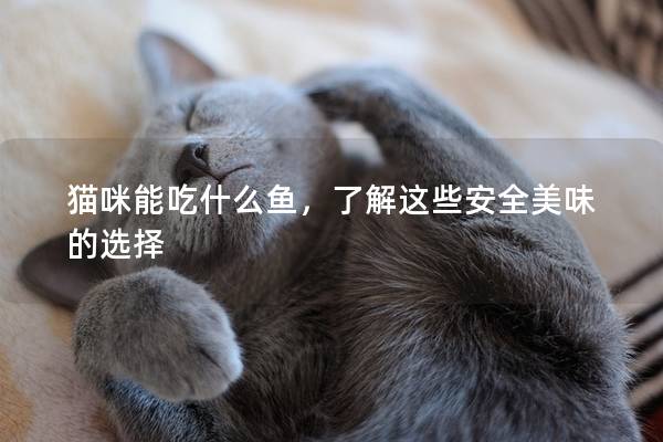 猫咪能吃什么鱼，了解这些安全美味的选择