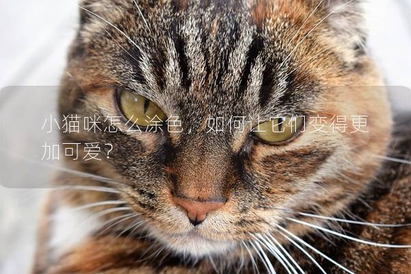 小猫咪怎么涂色，如何让它们变得更加可爱？