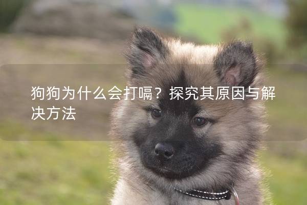 狗狗为什么会打嗝？探究其原因与解决方法