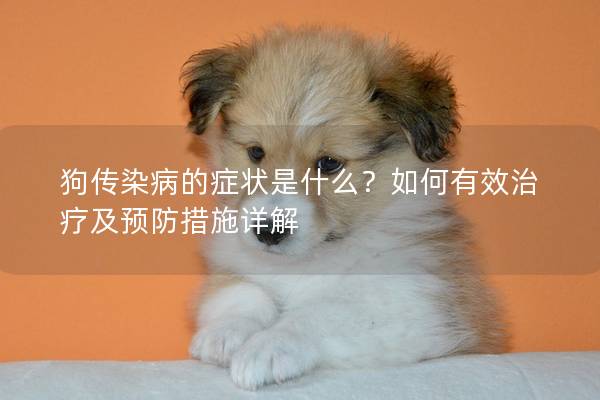 狗传染病的症状是什么？如何有效治疗及预防措施详解