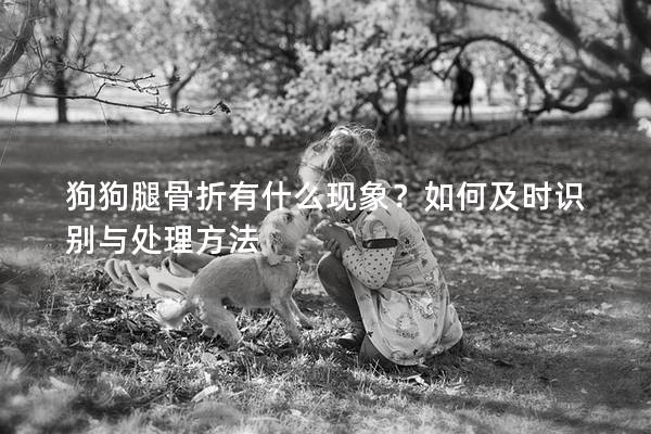 狗狗腿骨折有什么现象？如何及时识别与处理方法