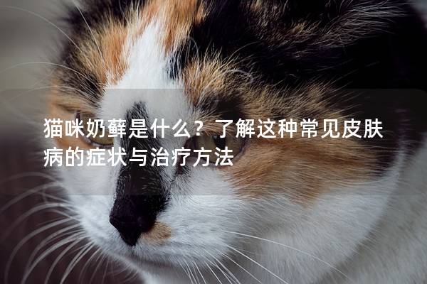 猫咪奶藓是什么？了解这种常见皮肤病的症状与治疗方法