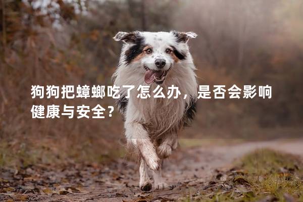 狗狗把蟑螂吃了怎么办，是否会影响健康与安全？