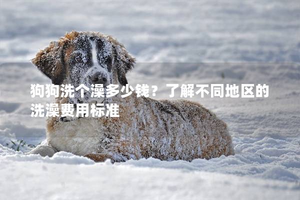 狗狗洗个澡多少钱？了解不同地区的洗澡费用标准