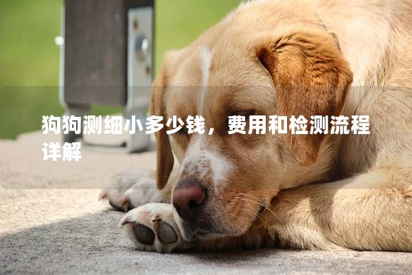 狗狗测细小多少钱，费用和检测流程详解